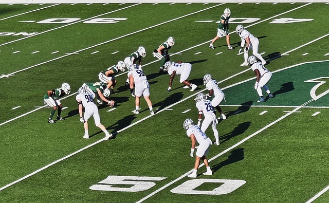 拉舒福特續 拉舒福特續