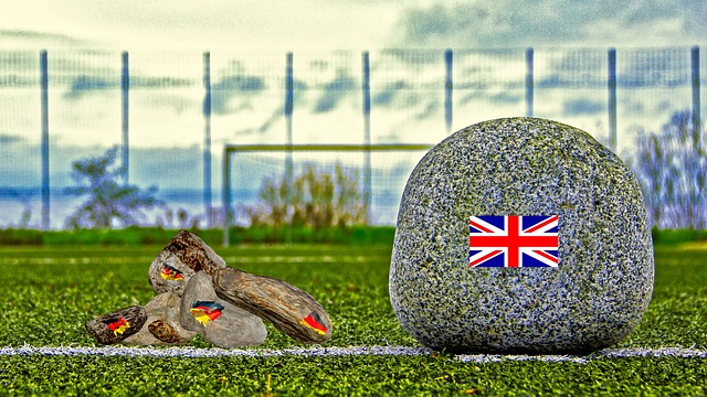 他的传球视 他的传球视