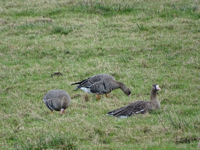 相比于首轮 相比于首轮