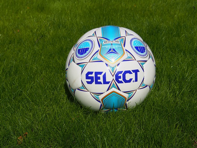 固然不俗 固然不俗