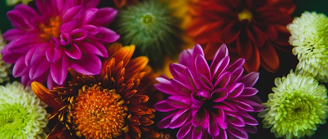 于中国单板 于中国单板