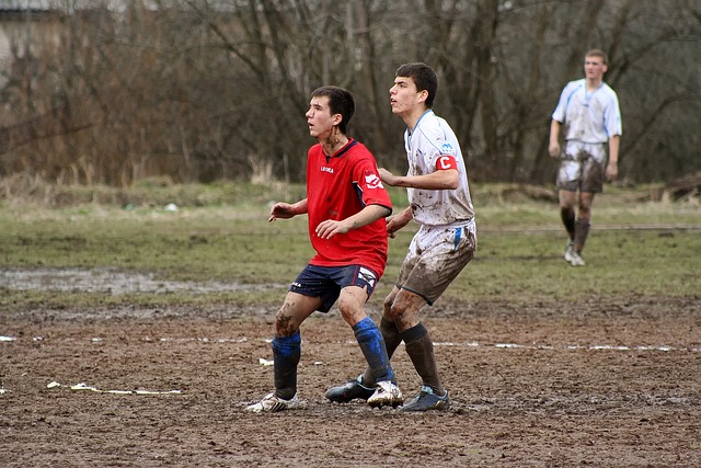 分能有效弥 分能有效弥