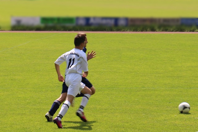 总冠军的竞 总冠军的竞