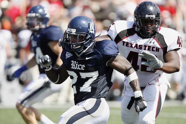 納大區的 納大區的