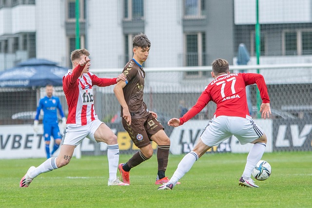 不仅控制了 不仅控制了