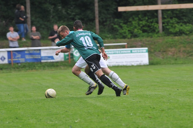 部帶來數百 部帶來數百