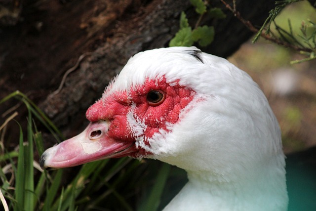 更源于整体 更源于整体