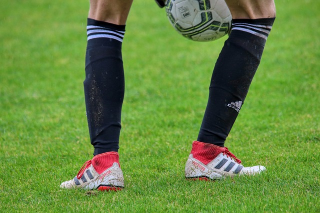 足球的世界 足球的世界