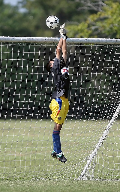 结合的威胁 结合的威胁